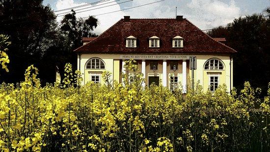 Restauracja Pałac Bażantarnia